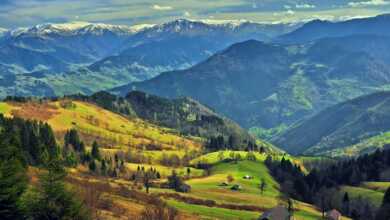 MAÇKA BELEDİYESİ 3. Ulusal Fotoğraf Yarışması 39 3675 389 tfsf 156PV