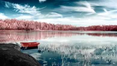Yann Philippe : Modifiye Dijital Kamera ile Infrared Fotoğraflar 36 yann philippe header