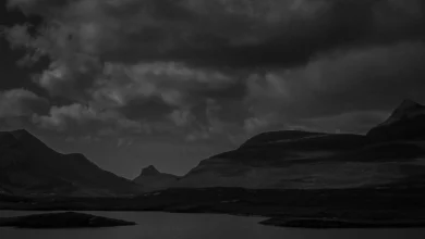 Michael O. Snyder : Darksome 4 Michael O. Snyder Darksome