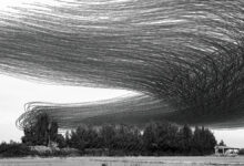 Xavi Bou : Ornithographies 18 Ornithography 062