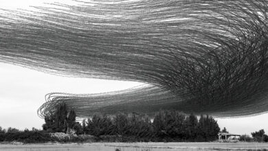 Xavi Bou : Ornithographies 45 Ornithography 062