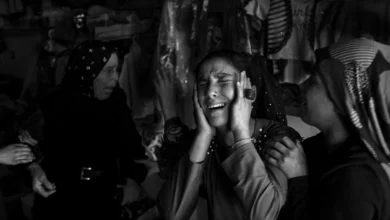 Türkiye’nin Sınırı: Akçakale’nin Gönderimi 5 Turkiye nin Siniri Akcakale nin Gonderimi