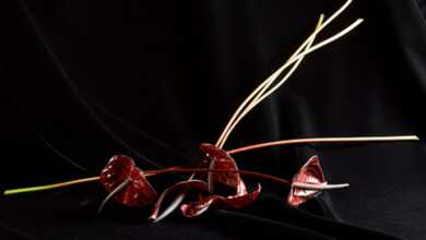 Ani Çelik Arevyan, “Işık Etüdü” 8 Ani Çelik Arevyan header