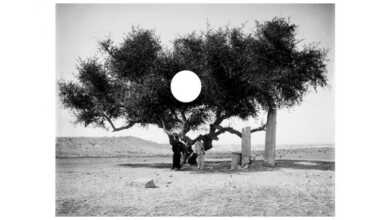 Kalıtsal yersizlik: Orada Her Kimse 5 Basma Alsharif A Philistine Bir Filist header