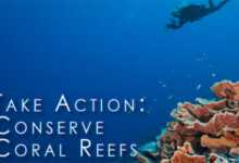 Science Without Borders Fotoğraf Yarışması 74 Science Without Borders header