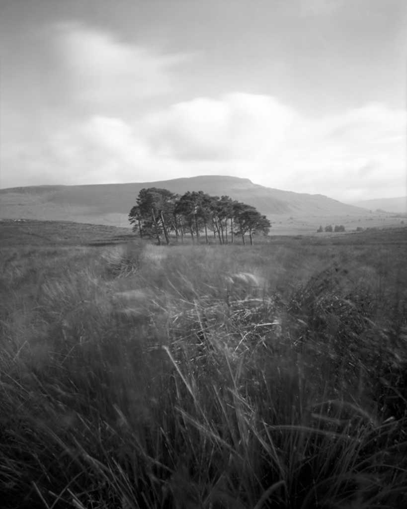 026mprincekippenmuirpinhole