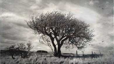 Michael Prince: Manzara ve Sessizlik 38 Michael Prince header