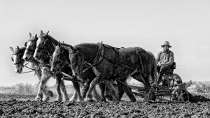 Amish Country IMG 2 2 99636783018 1