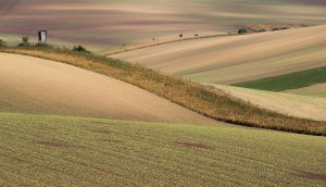 autumn hills IMG 2 2 99448070847 2