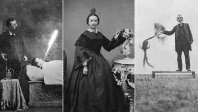 Nicola Tröhler: Public Domain Photos 44 gifsfeat header