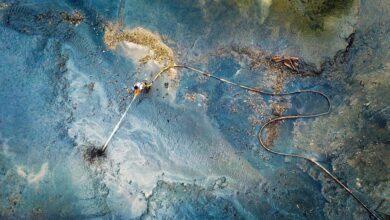 Annual Photography Awards 2020 3 annual photography awards header