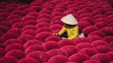 Ryosuke Kosuge : Patterns of Asia 43 rk 5 1200x675 1