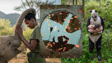 2022'de Bilmeniz Gereken 10 Kadın Fotoğrafçı 1 2022de Bilmeniz Gereken 10 Kadin Fotografci