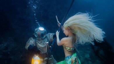 Brett Stanley : The Diver ve Mermaid 49 Dalgic ve Deniz Kizi