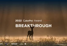 ColorPro Award 2022 16 1660561898 ColorPro Award 2022