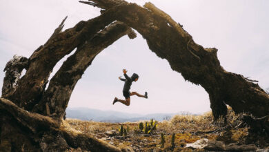 Çerçeve İçinde Çerçeve: Daha İyi Fotoğraf Kompozisyonları için Doğal Çerçeveleme 3 Cerceve Icinde Cerceve Daha Iyi Fotograf Kompozisyonlari icin Dogal Cerceveleme