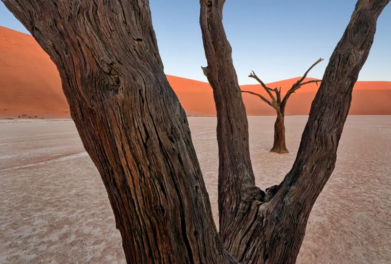 02 Pauls Deadvlei Composition