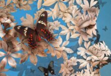 Igor Morski : "Gerçeküstü bir dünyada mı yaşıyoruz?" 2 Igor Morski 22