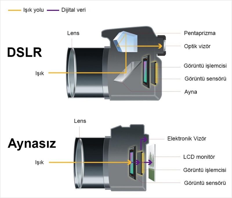 dslr vs mirrorless diagram