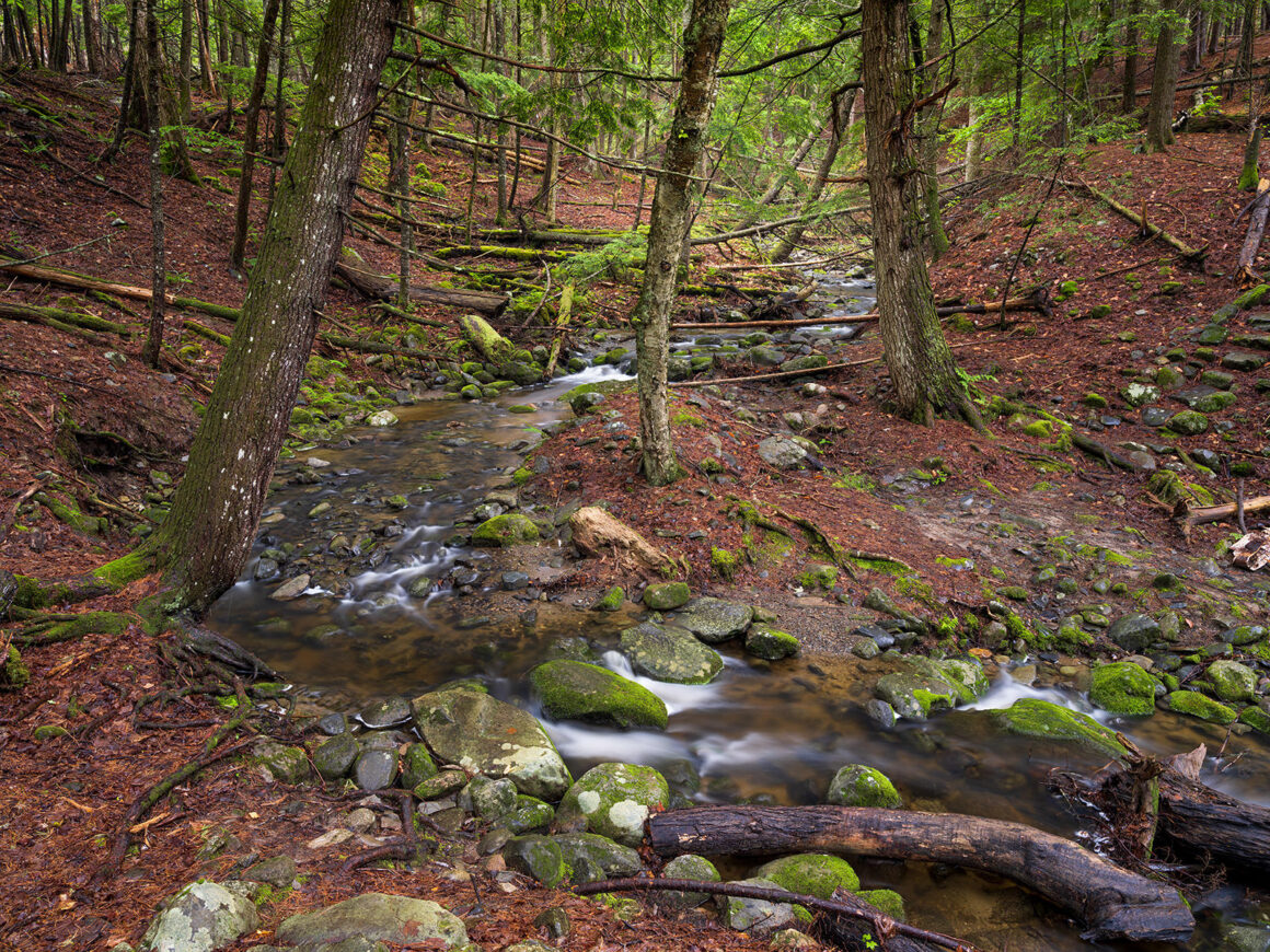 jeremy gray landscape guide fields pond nature center stream s curve