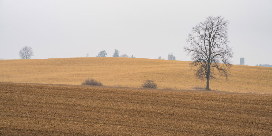 jeremy gray landscape guide new york farmland