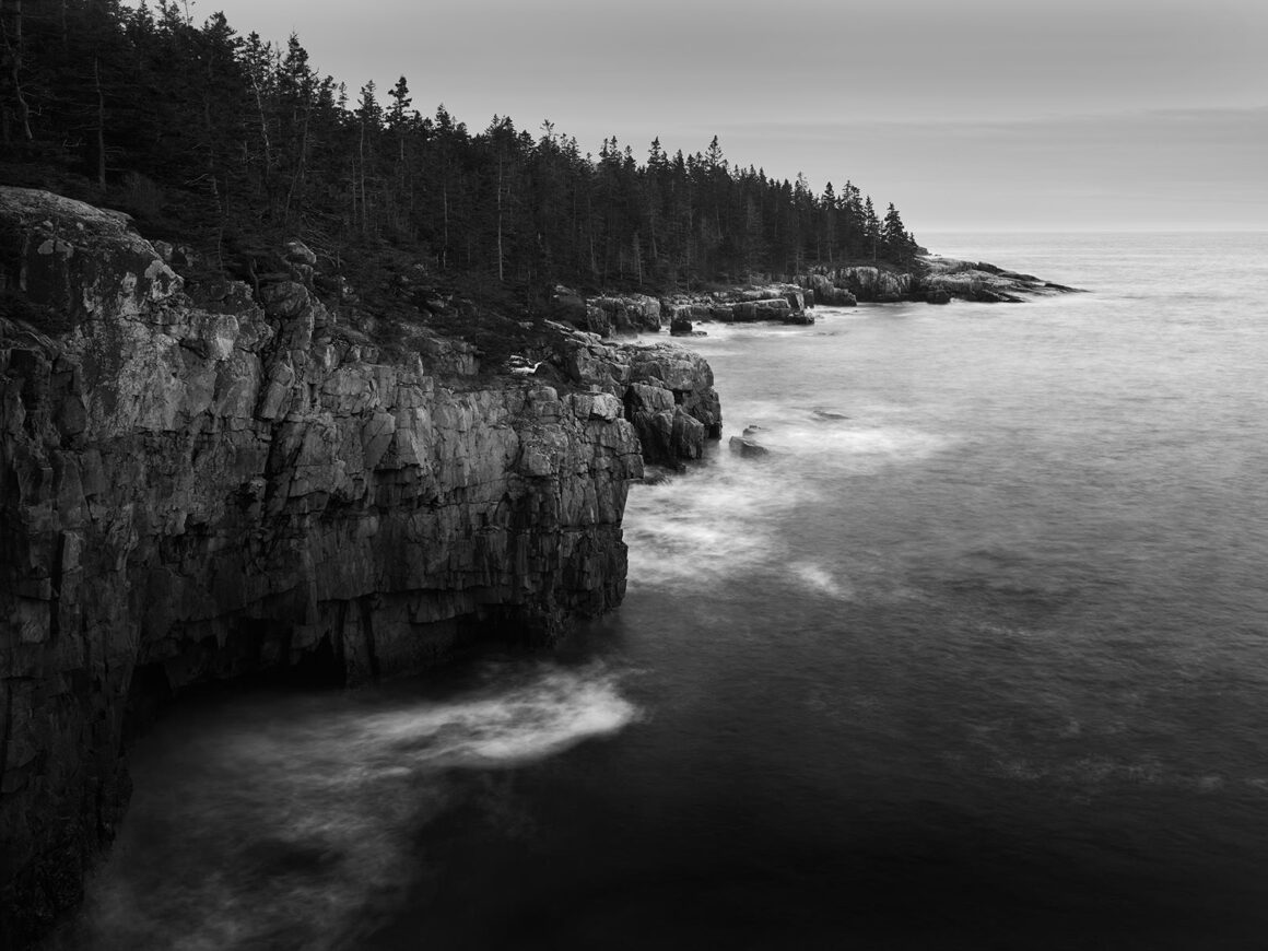 jeremy gray landscape guide ravens nest landscape bw