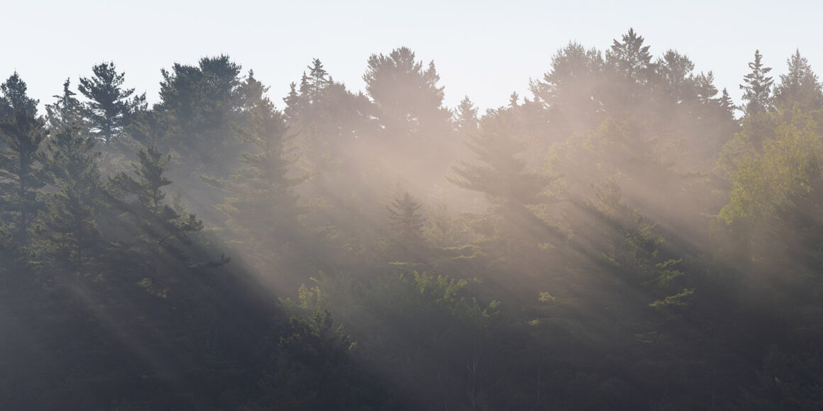 jeremy gray landscape guide swetts pond fog