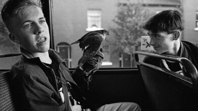 İrlandalı Bir Sokak Fotoğrafçısının İnanılmaz Hayatının Eseri 37 Dublin Bus 1989 Tony O Shea
