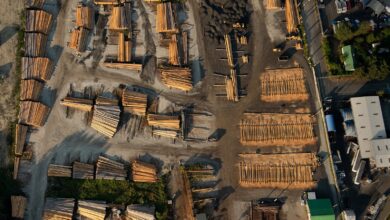 Görsel Antropolog : Aya Okawa 34 Gorsel Antropolog Aya Okawa