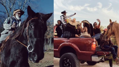 Gem Hale : Hay Day 42 Gem Hale Hay Day