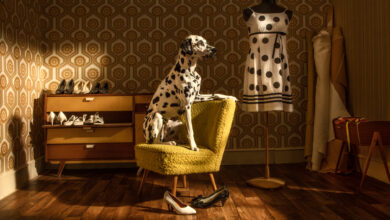 Güçlü portreler ve gururlu köpekler International Photography Awards 2023'de öne çıkıyor 4 Horst Kistner