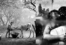 Nikon 2023 Fotoğraf Yarışmasında Kazanan Muhteşem Fotoğraflar ve Filmler 21 Nikonun 2023 Fotograf Yarismasinda Kazanan Muhtesem Fotograflar ve Filmler