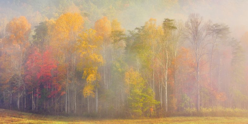 cades cove