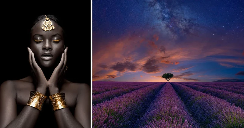 siena creative photo awards featured