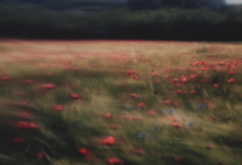 10th Fine Art Photography Awards 20 sub banner 2023