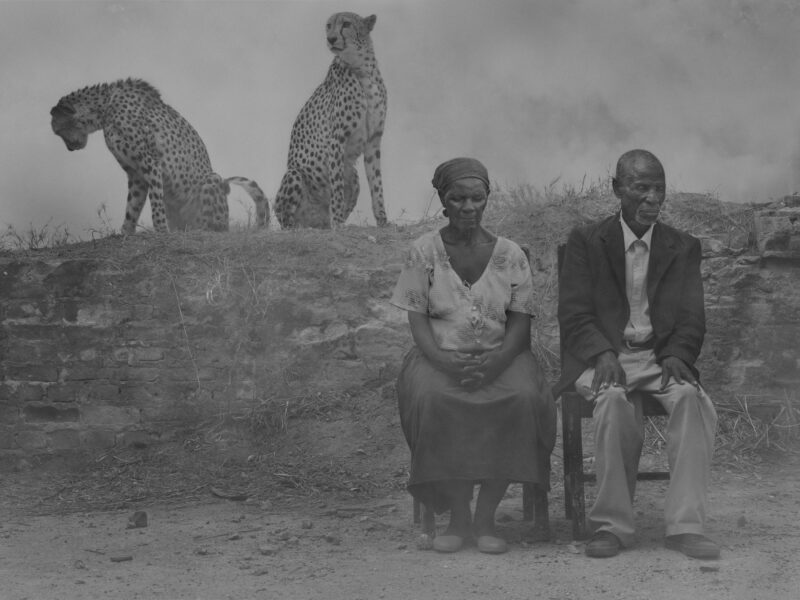 Nick Brandt The day may break 018