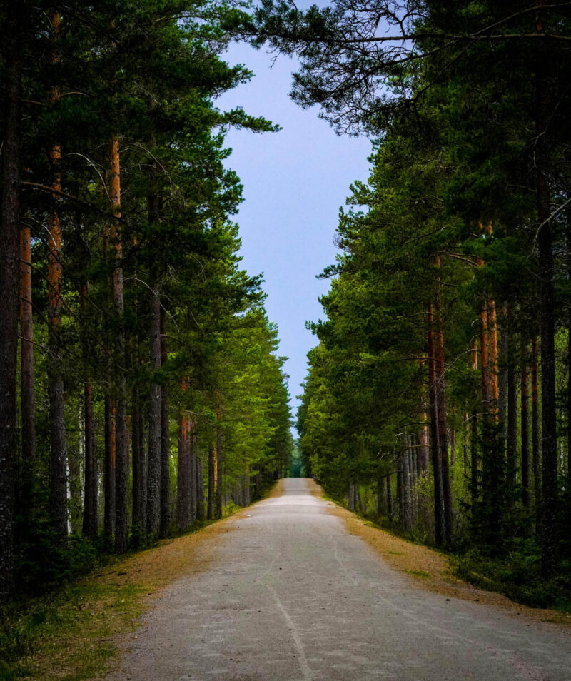 Fotografcilikta Simetri Daha Iyi Kompozisyonlar Icin Temel Kilavuz 009