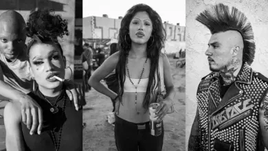 Suitcase Joe. : Grey Flowers 52 Suitcase Joe. Grey Flowers