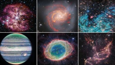 2023 Yılının En İyi James Webb Uzay Teleskobu Fotoğrafları 45 2023 Yilinin En Iyi James Webb Uzay Teleskobu Fotograflari