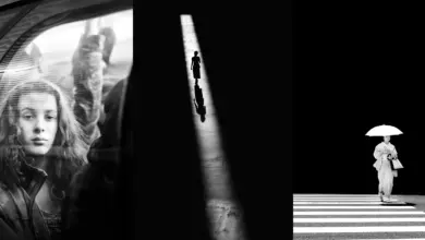 Alan Schaller : Metropolis 39 Alan Schaller feat