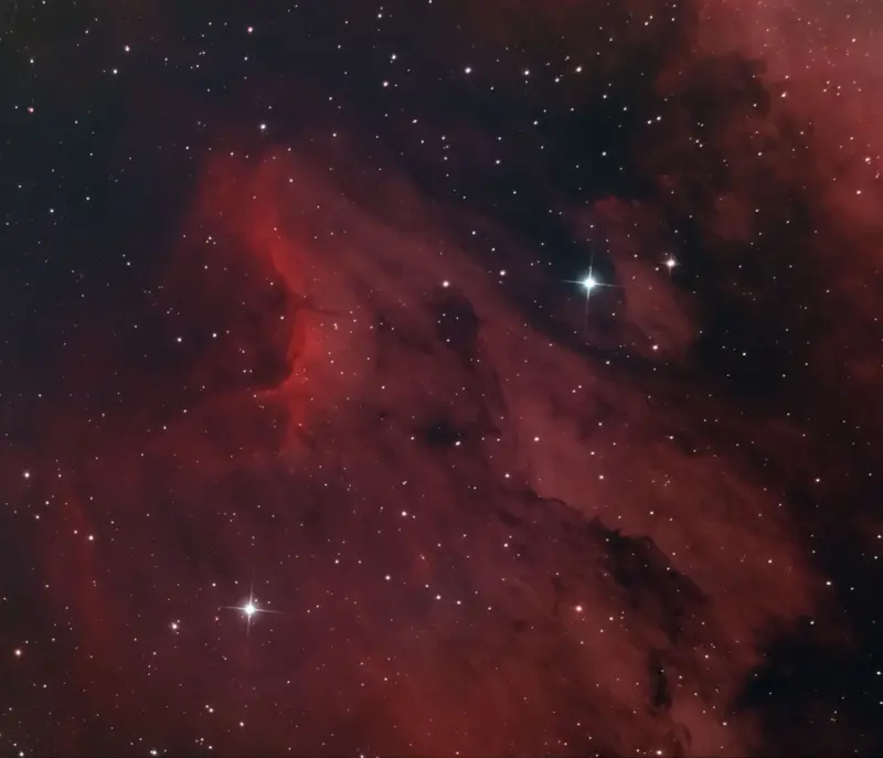 Shortlisted Sona Shahani Shukla Pelican Nebula