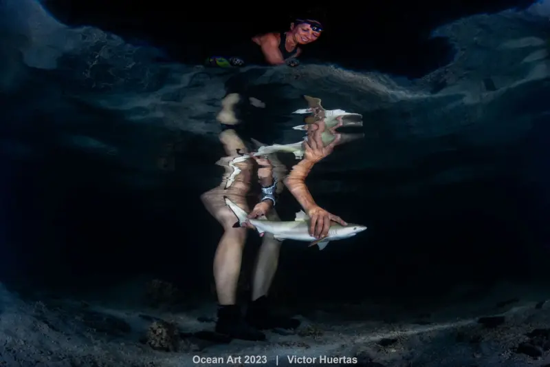 1st Underwater Conservation Victor Huertas Release of newborn blacktip shark during study on shark adaptation to climate change 1536x1024 1