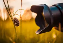 Makro Fotoğrafçılık için En İyi Kameralar 2024 11 Makro Fotografcilik icin En Iyi Kameralar