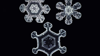 Kar Tanelerini Hiç Bu Kadar Yakından Görmemiştiniz 16 Kar Tanelerini Hic Bu Kadar Yakindan Gormemistiniz