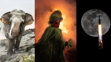 Dünya Fotoğrafçılık Ödülleri'ne Göre 31 Ülkeden En İyi Fotoğraflar 10 Sony Dunya Fotografcilik Odulleri 2024