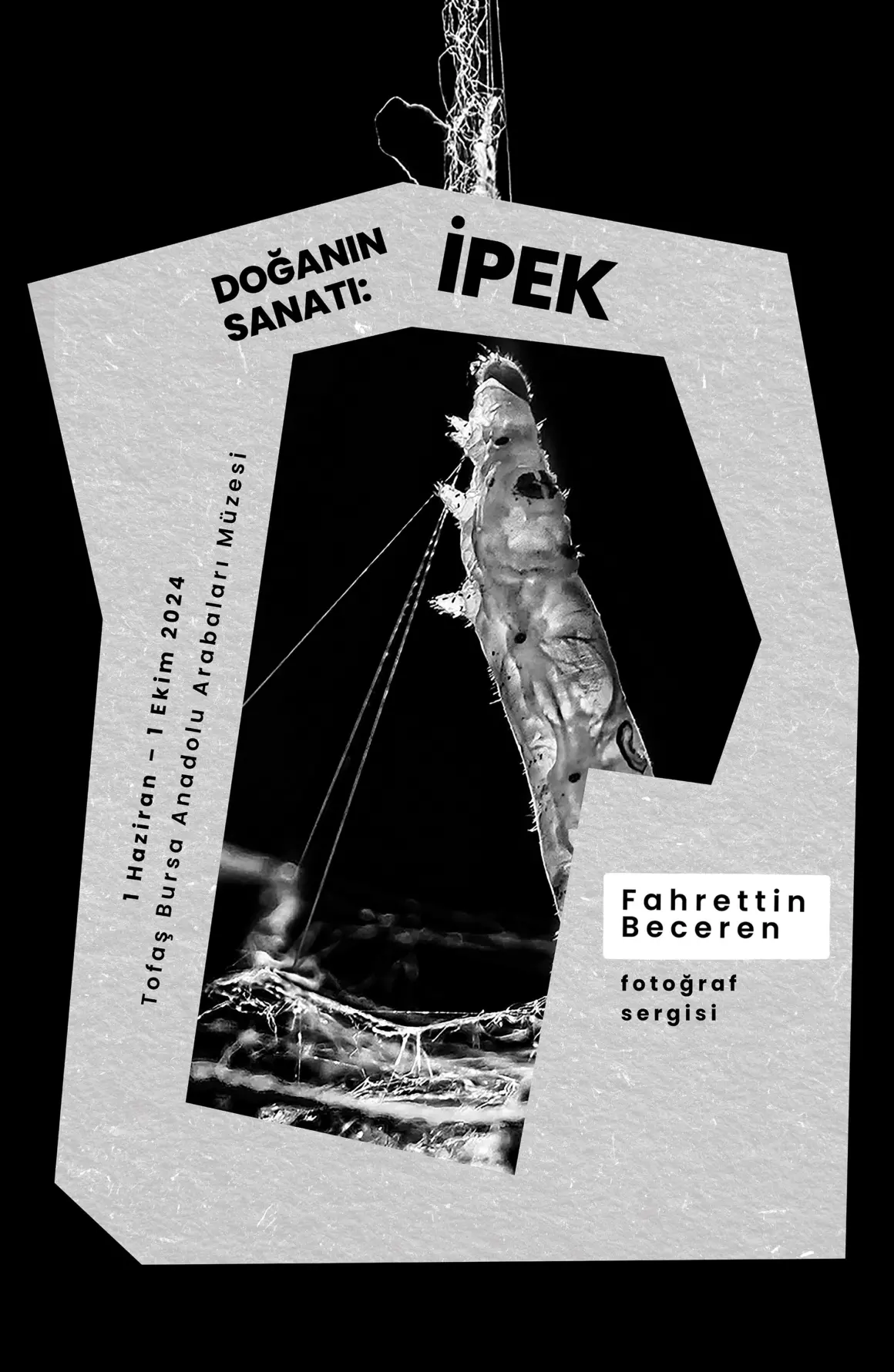 Doğa’nın Sanatı: İpek 1 Doğa’nın Sanatı: İpek