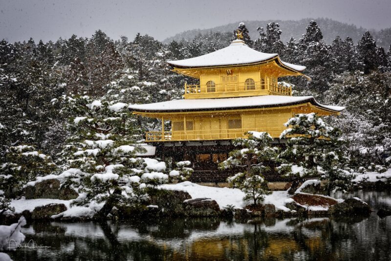 Kinkaku ji