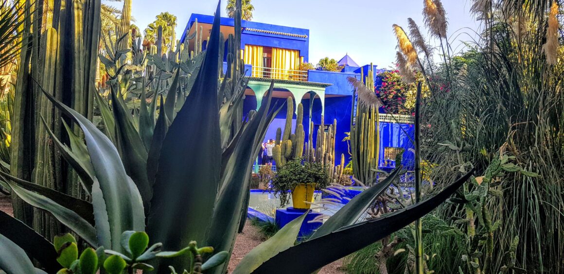 Majorelle