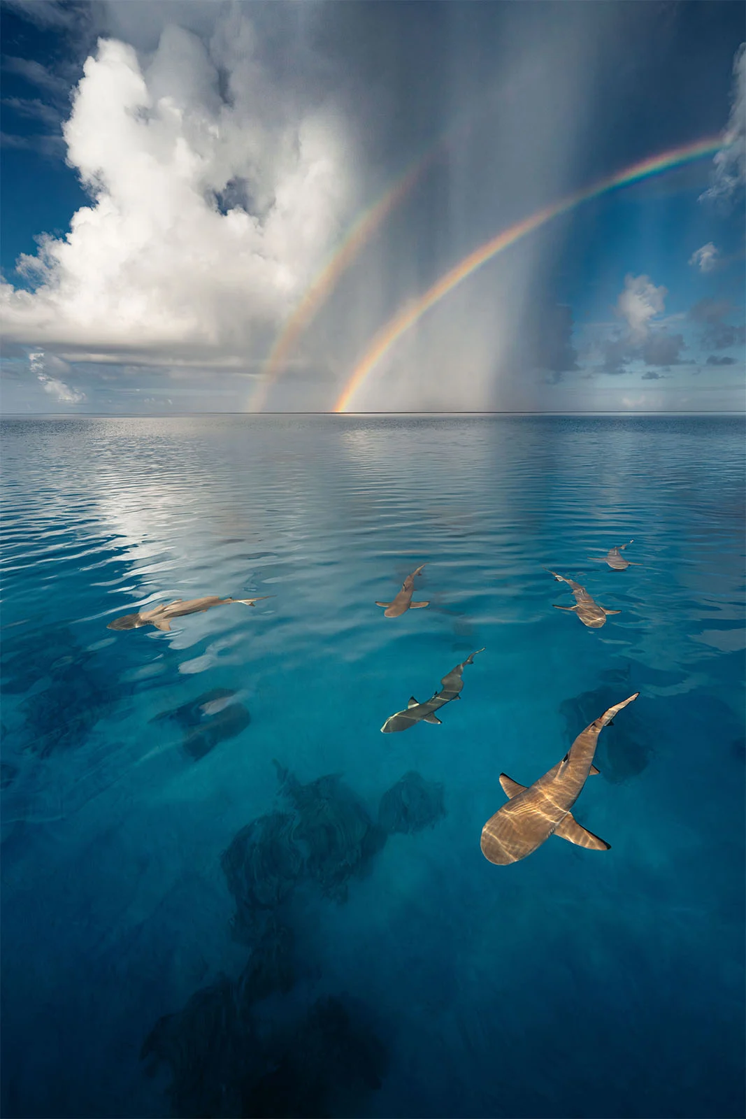 UNWOD2024 Above Water Seascapes 2nd Place Emmett Sparling A Slice of Heaven in the Tuamotus