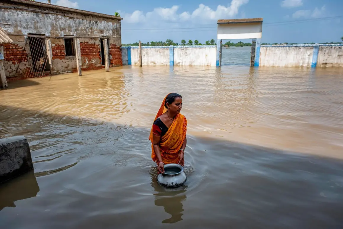 14 In search of drinking water amid flooded salty sea water 2